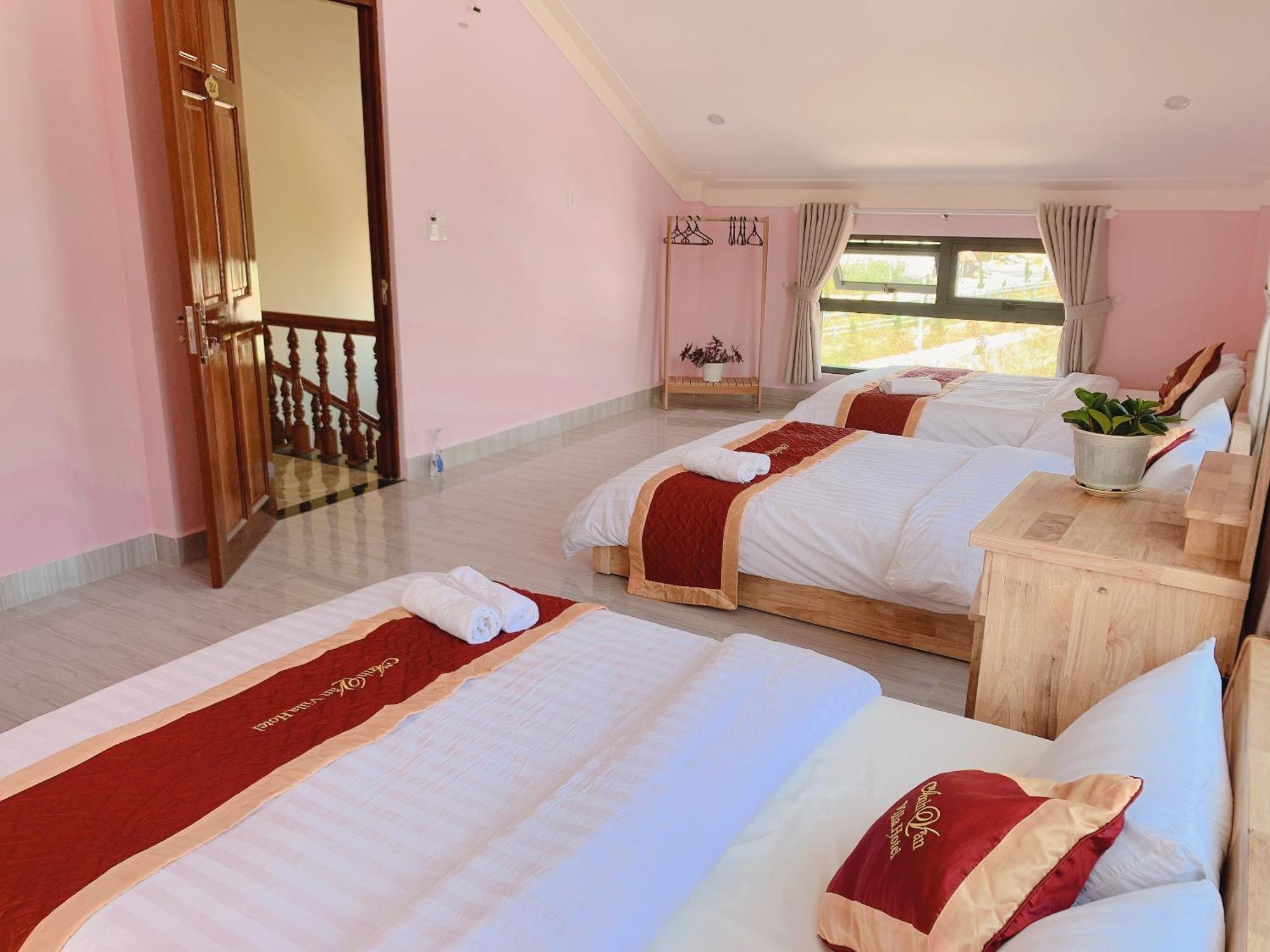 Anh Van Villa Hotel Νταλάτ Εξωτερικό φωτογραφία